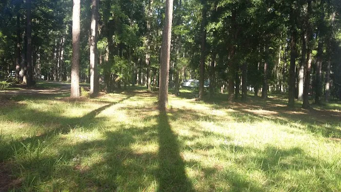 Holbrook Pond 10
