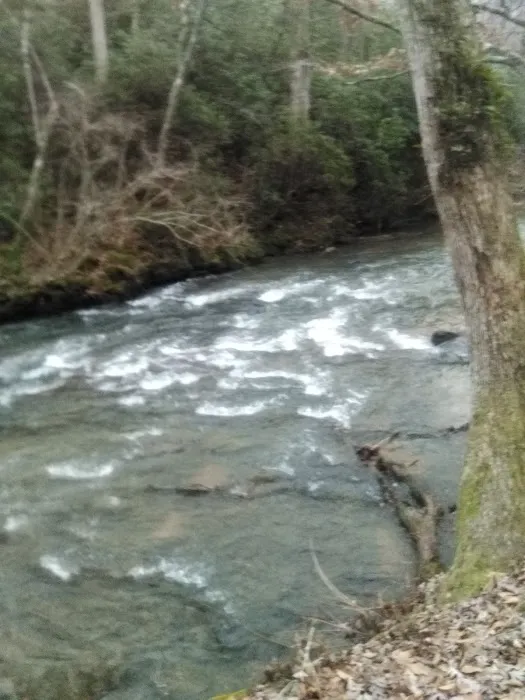 Camp Hidden Creek - Ashland, AL 6