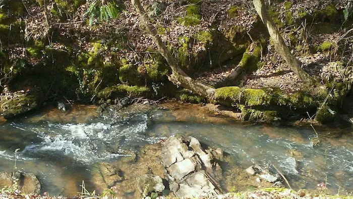 Camp Hidden Creek - Ashland, AL 8
