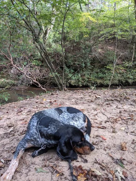 Camp Hidden Creek - Ashland, AL 10