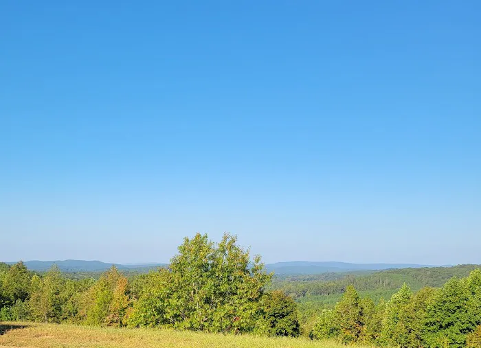 Franks Point Of View LLC 6
