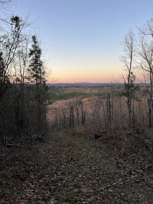 Franks Point Of View LLC 10
