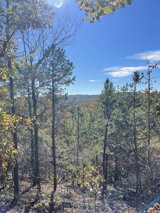Cheaha Hideaway LLC 9