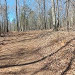 Real Nice and Easy RV Park