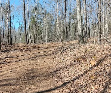 Real Nice and Easy RV Park