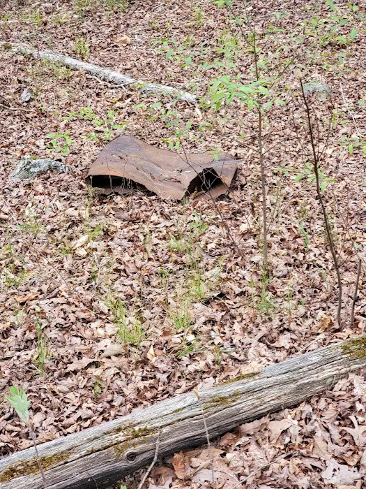 Turnipseed Campground 5