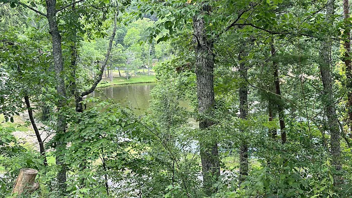Lower Improved Campground 1