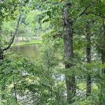 Lower Improved Campground