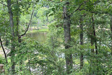 Lower Improved Campground