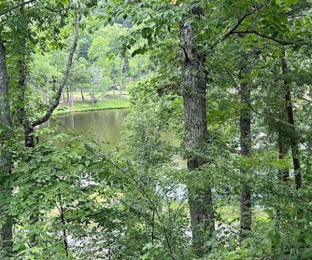 Lower Improved Campground