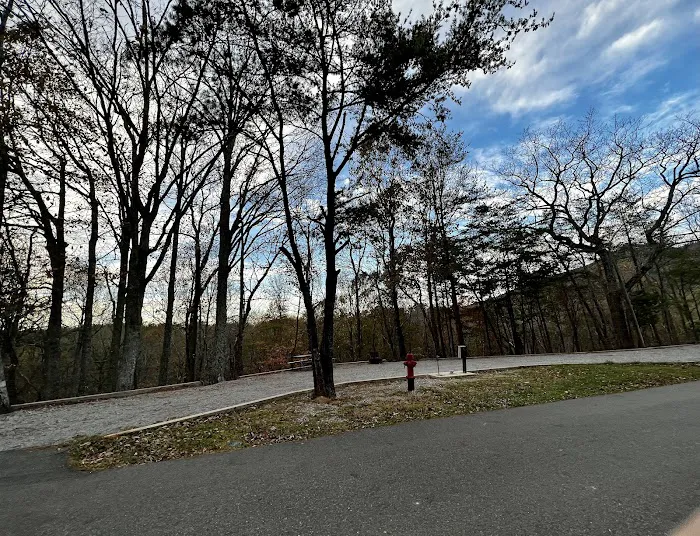 Lower Improved Campground 8