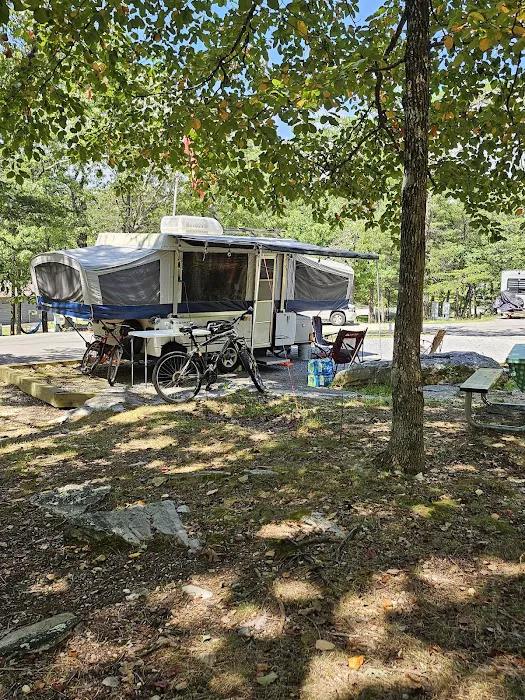 Upper Improved Campground 8