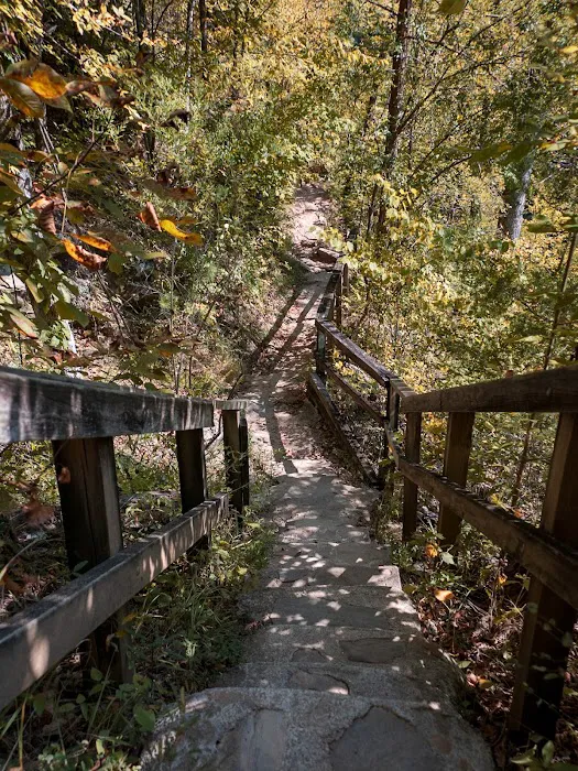 Timberline Glamping Cheaha 7