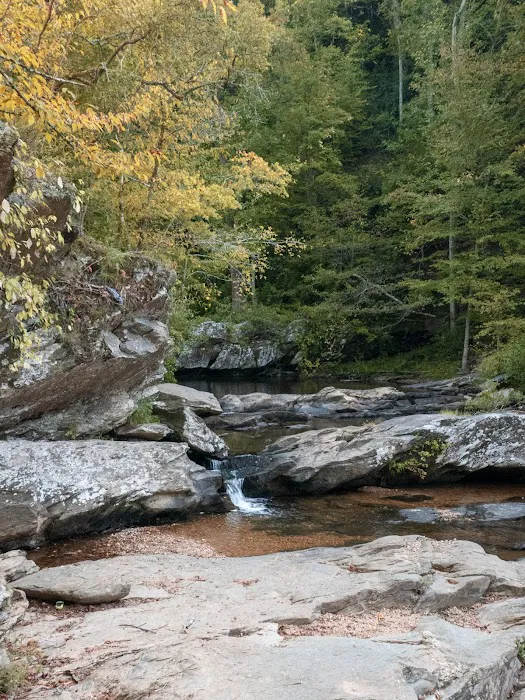 Timberline Glamping Cheaha 5