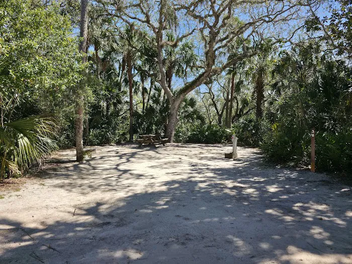 Tomoka State Park Campground 2