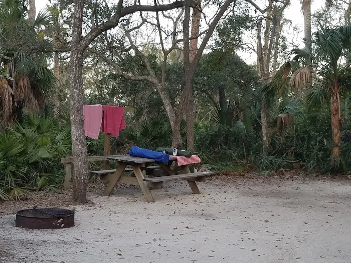 Tomoka State Park Campground 4
