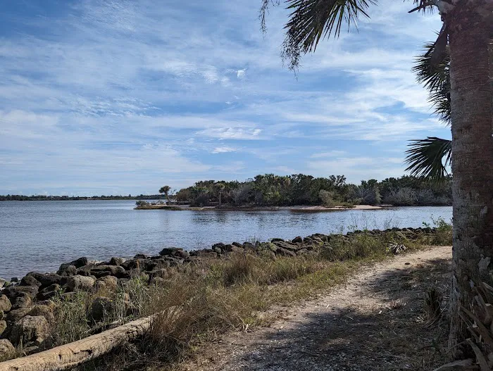 Tomoka State Park Campground 7