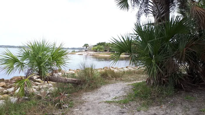 Tomoka State Park Campground 8