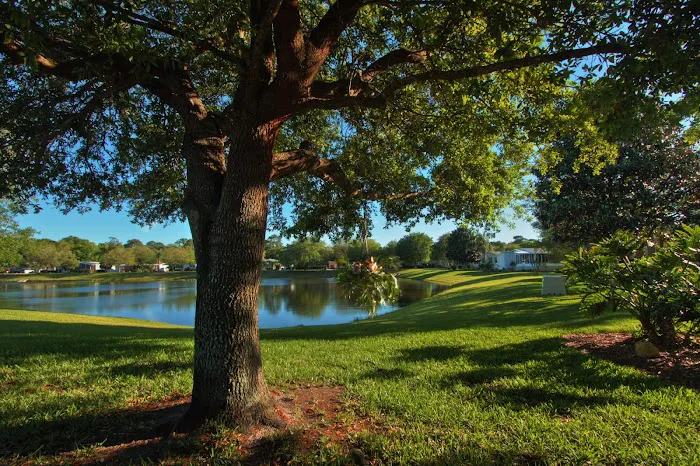 Bear Creek Village 2