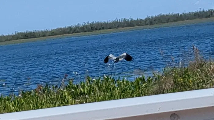 Lake Deaton RV Park 8