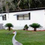 Coachwood Colony