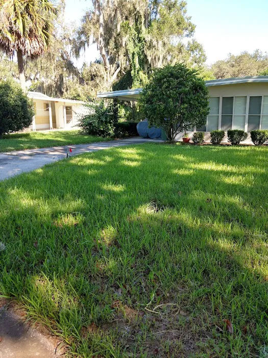 Coachwood Colony 3
