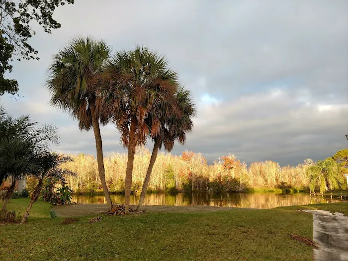 Coachwood Colony 6