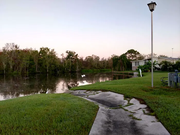 Coachwood Colony 5