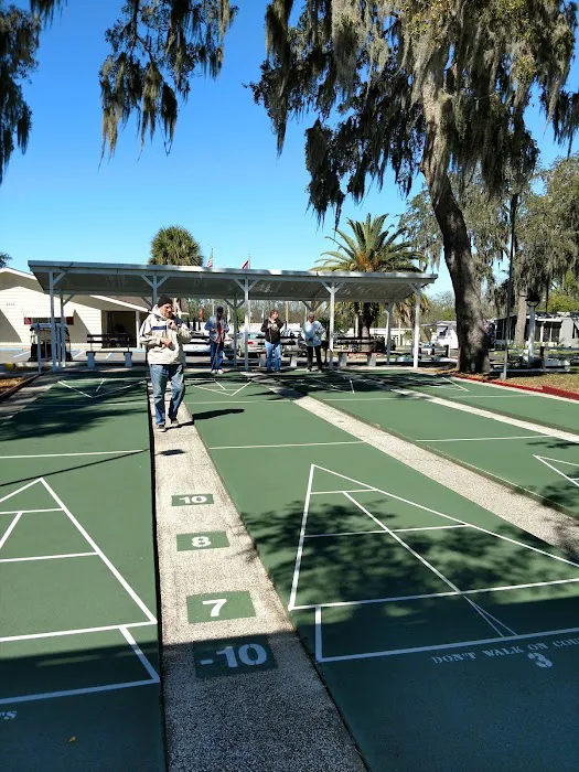 Coachwood Colony 4