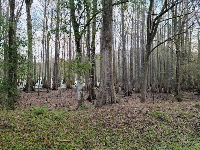 Sumter Oaks - Escapees RV Parks 3