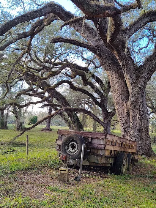 Sumter Oaks - Escapees RV Parks 5