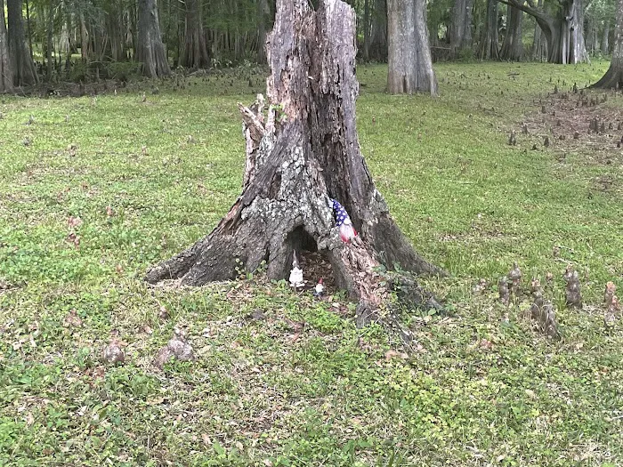 Sumter Oaks - Escapees RV Parks 8