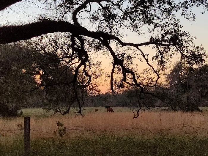Sumter Oaks - Escapees RV Parks 9