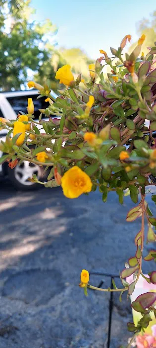 Three Seasons Mobile Home Park 7
