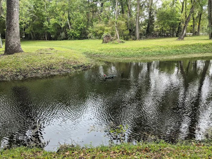 Clover Leaf Forest RV Resort 7