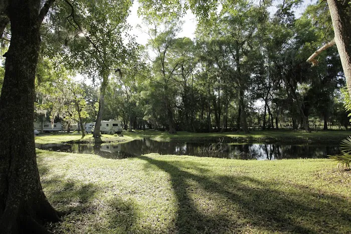 Clover Leaf Forest RV Resort 6