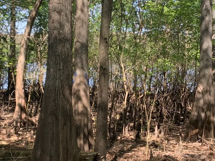 Silver Lake Campground 1