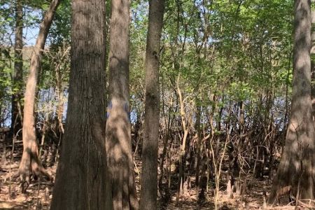 Silver Lake Campground