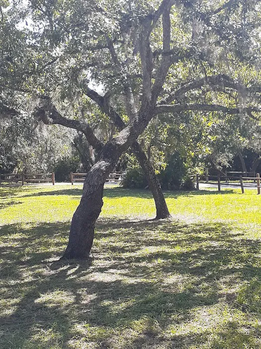 Cypress Glen Campground 10