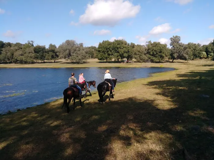 Seminole Wind Ranch 2
