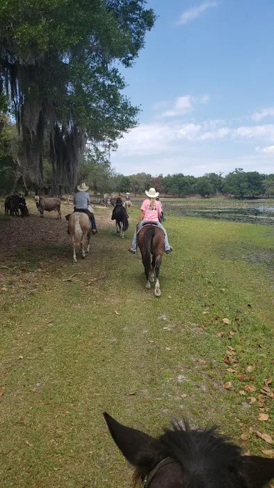 Seminole Wind Ranch 5