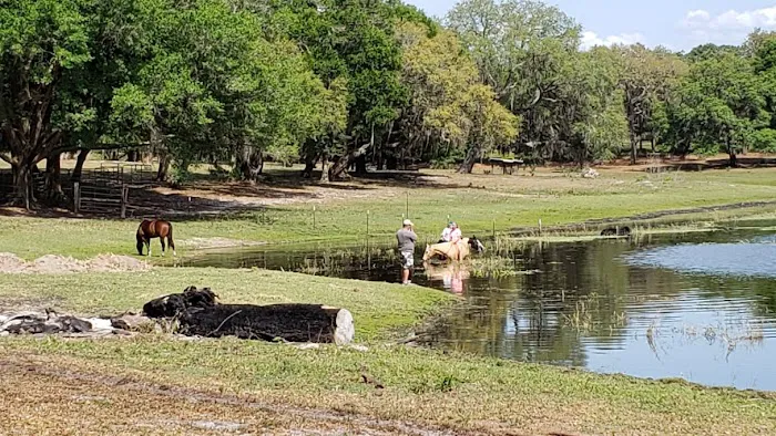 Seminole Wind Ranch 4