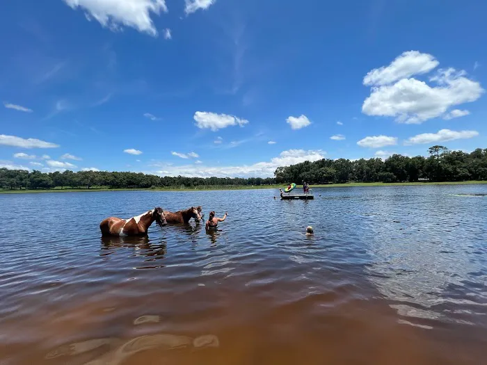 Seminole Wind Ranch 8