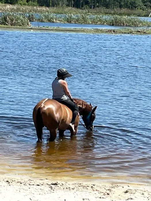 Seminole Wind Ranch 9