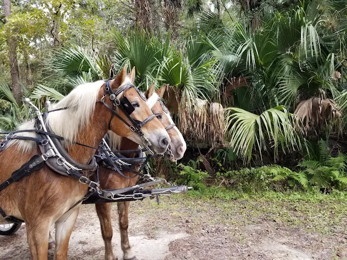 Seminole Wind Ranch 7