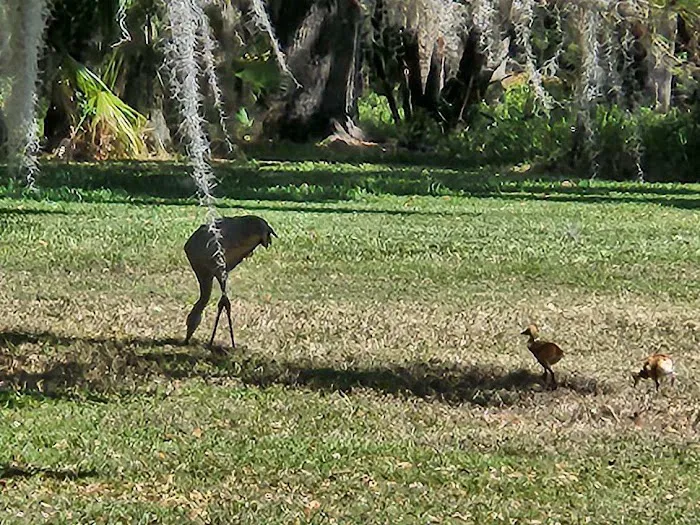 Woods-N-Water Trails RV Community 4