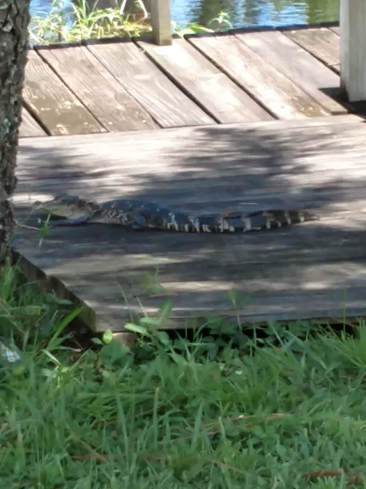 Lake Saunders RV Resort 4