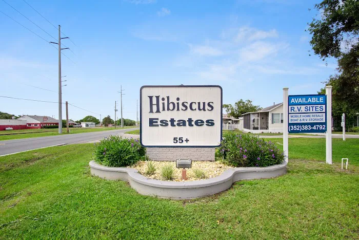 Hibiscus 5