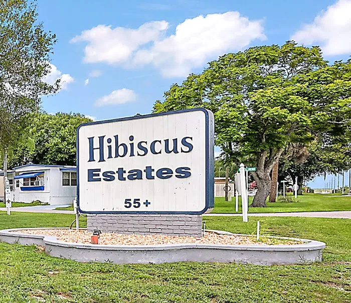 Hibiscus 6