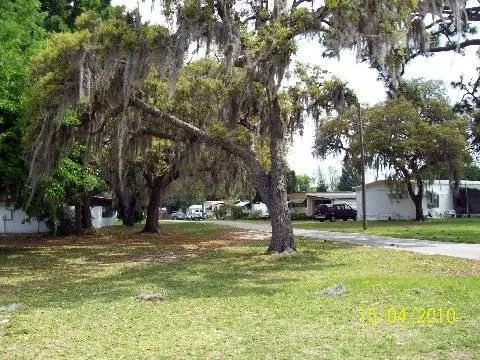 Three Palms Mobile Home Park 3
